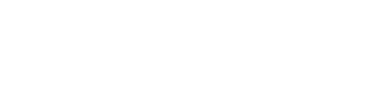 DriveeLink
